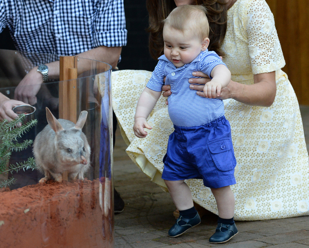 Prince George Sees Bilby Sydney Zoo