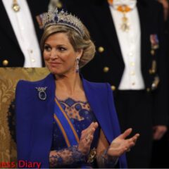 queen maxima blue outfit dutch inauguration