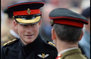 Prince Harry Military Regalia Field of Remembrance 2014