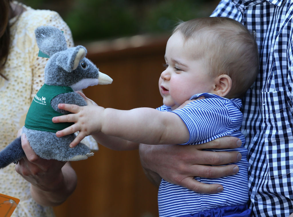 Prince George Blue Shirt Holds Toy Bilby 2014 Taronga Zoo
