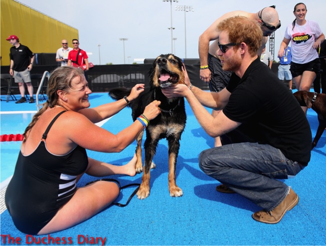 prince harry pets service dog swim race invictus games 2016