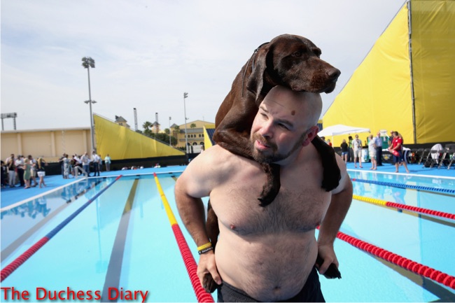 competitor and service dog swimming pool invictus games 2016