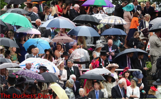 racegoers hide under umbrellas royal ascot day one rain