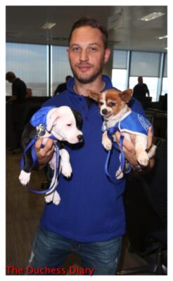 tom hardy holds two puppies bgc charity day london